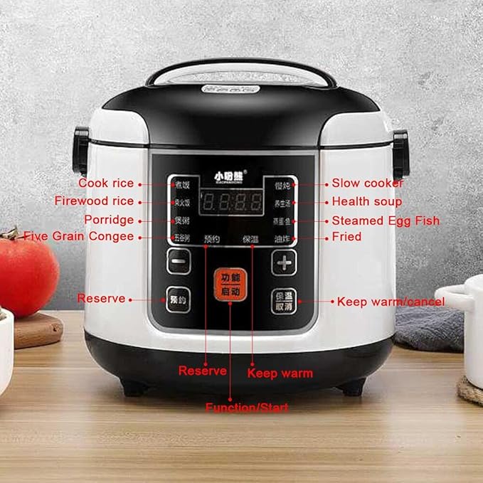 Electric Rice Cooker with 2L Capacity for Vehicle Use