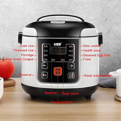 Electric Rice Cooker with 2L Capacity for Vehicle Use